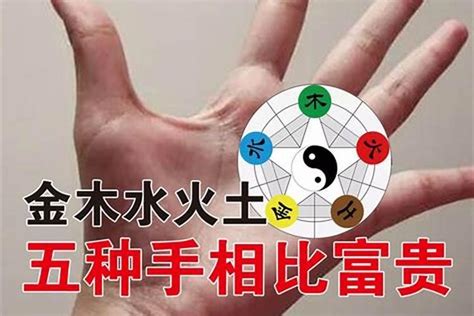 五型人格金木水火土